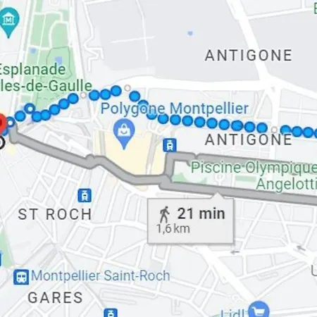 Montpellier: Cozy Et Spacieux Au Centre Διαμέρισμα Μονπελιέ